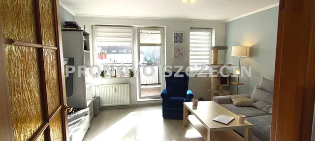 Wohnzimmer; blick, tageslicht