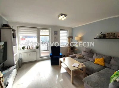 Дневна соба; поглед, природно светло, модерни стил