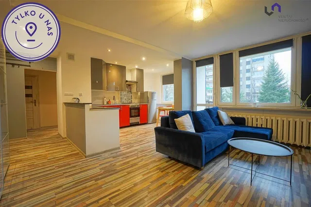 Living room; view, natural light