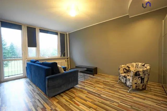 Living room; view, wood floor, natural light, modern style