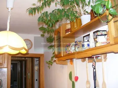 Кухиња; природно светло