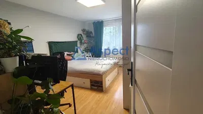 Spavaća soba; prirodna svjetlost, drveni pod