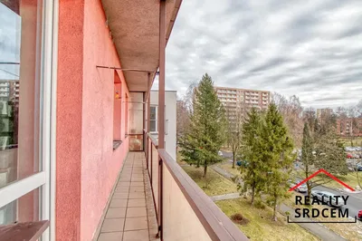 Kuchnia; sprzęt kuchenny, podłoga drewniana, światło dzienne, styl nowoczesny