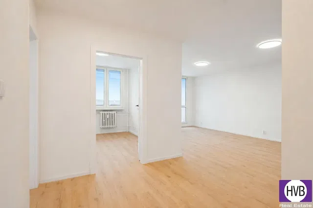 Living room; natural light, wood floor, renovated