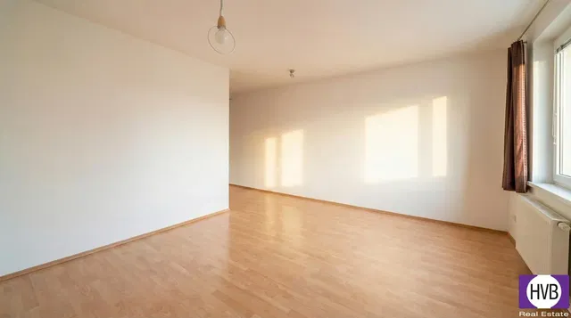 Salón; suelo de madera, luz natural