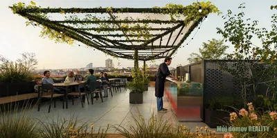 Kuchnia; sprzęt kuchenny, podłoga drewniana, światło dzienne, styl nowoczesny