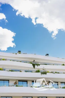 Kuchyně; kuchyňské spotřebiče, dřevěná podlaha, přirozené světlo, moderní styl