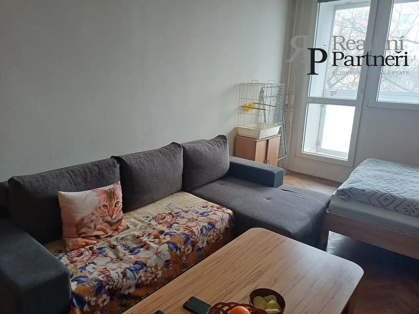 Salon; podłoga drewniana, światło dzienne, styl nowoczesny