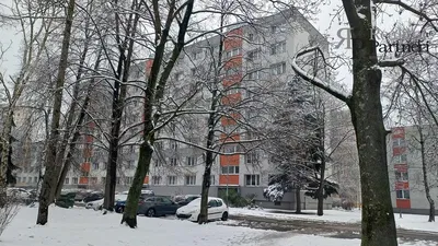 Kuchnia; sprzęt kuchenny, podłoga drewniana, światło dzienne, styl nowoczesny