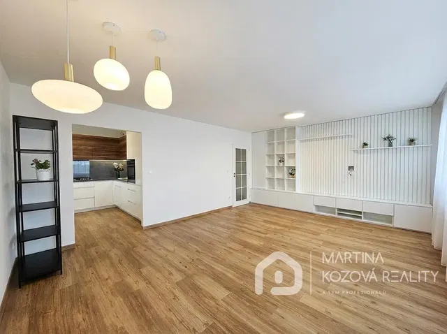 Хол; дървен под, естествена светлина, модерен стил