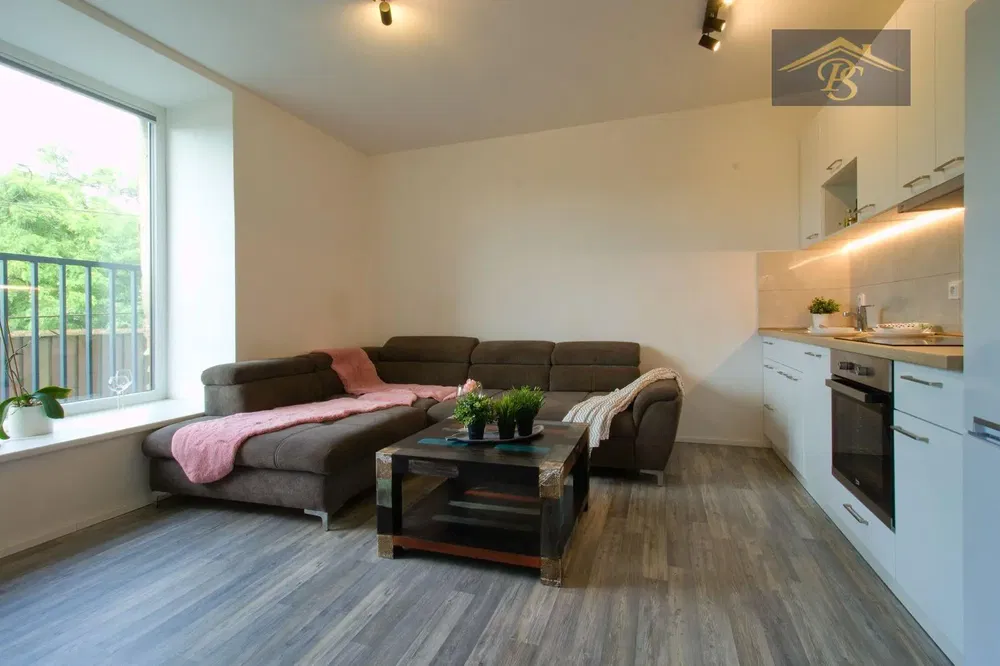 Obývací pokoj; dřevěná podlaha, přirozené světlo, moderní styl