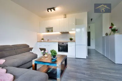 Kuchyně; kuchyňské spotřebiče, dřevěná podlaha, přirozené světlo, moderní styl