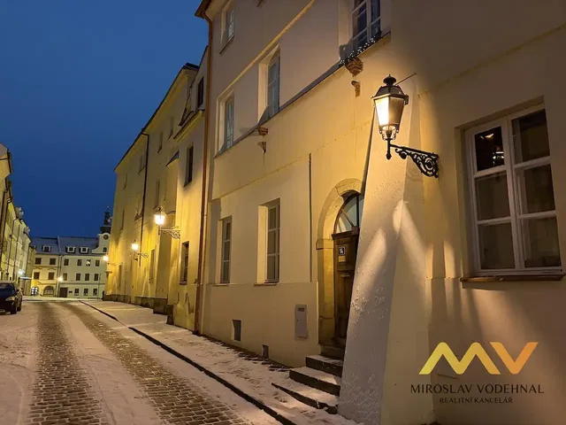 Salón; suelo de madera, luz natural, estilo moderno