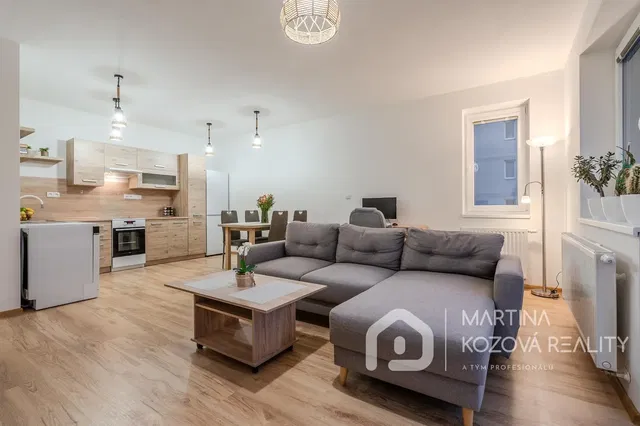 Дневна соба; природно светло, модерни стил, дрвени под