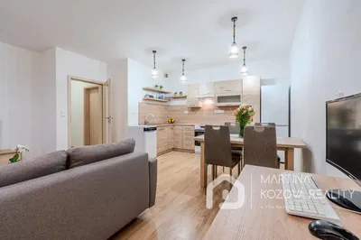 Дневна соба; кухињски апарати, природно светло, модерни стил, дрвени под