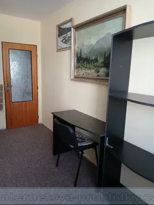 Хол; дървен под, естествена светлина, модерен стил