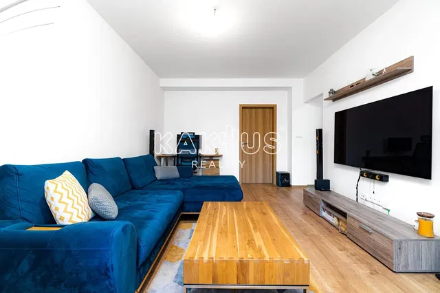 Living room; wood floor, natural light, modern style