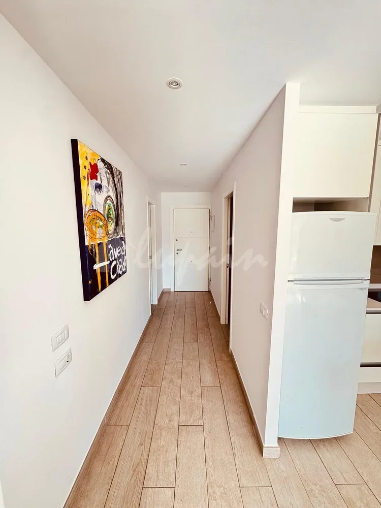 Mutfak; mutfak aletleri, ahşap zemin, doğal ışık, modern stil