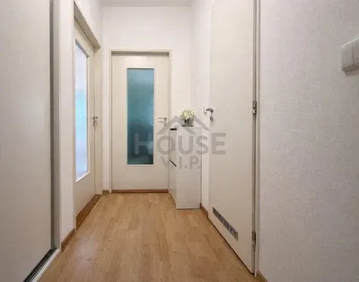 Kuchnia; sprzęt kuchenny, podłoga drewniana, światło dzienne, styl nowoczesny