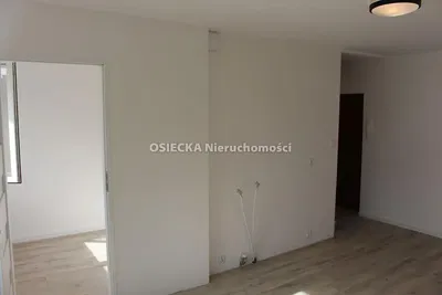 Kuchyně; kuchyňské spotřebiče, dřevěná podlaha, přirozené světlo, moderní styl