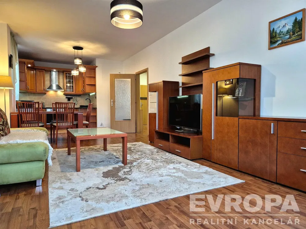 Living room; wood floor, natural light, modern style
