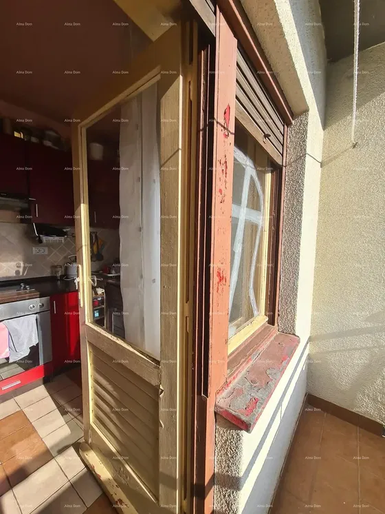 Kuchyně; kuchyňské spotřebiče, dřevěná podlaha, přirozené světlo, moderní styl