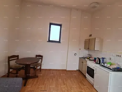 Kuchyně; kuchyňské spotřebiče, dřevěná podlaha, přirozené světlo, moderní styl