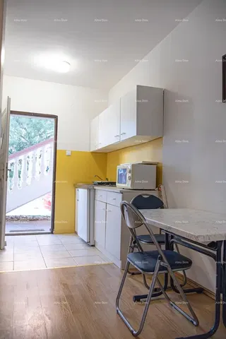 Kuchyně; kuchyňské spotřebiče, dřevěná podlaha, přirozené světlo, moderní styl