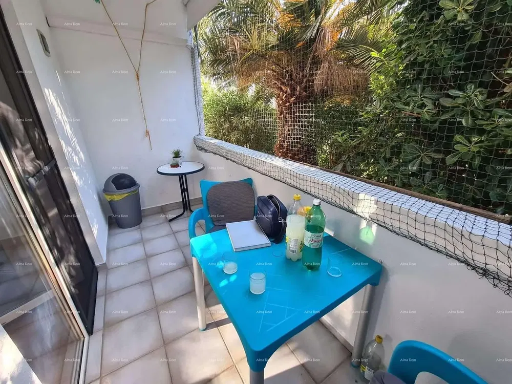 Kuchyně; kuchyňské spotřebiče, dřevěná podlaha, přirozené světlo, moderní styl