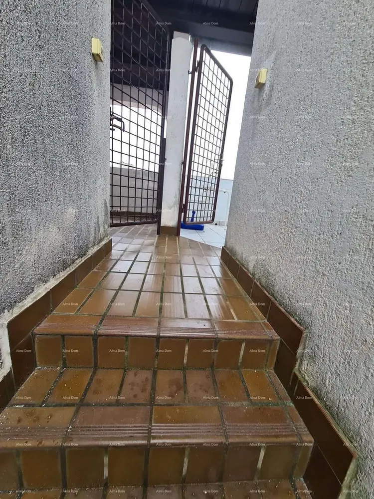 Kuchyně; kuchyňské spotřebiče, dřevěná podlaha, přirozené světlo, moderní styl