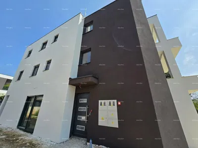 Kuchyně; kuchyňské spotřebiče, dřevěná podlaha, přirozené světlo, moderní styl