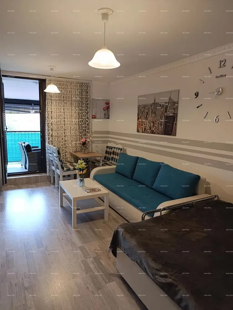 Kuchyně; kuchyňské spotřebiče, dřevěná podlaha, přirozené světlo, moderní styl