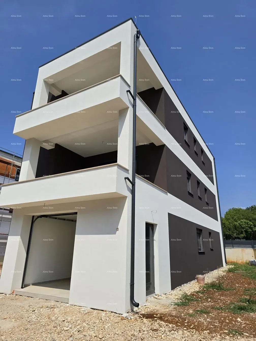 Kuchyně; kuchyňské spotřebiče, dřevěná podlaha, přirozené světlo, moderní styl