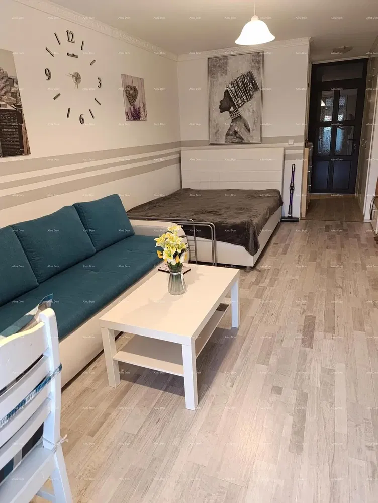 Kuchyně; kuchyňské spotřebiče, dřevěná podlaha, přirozené světlo, moderní styl