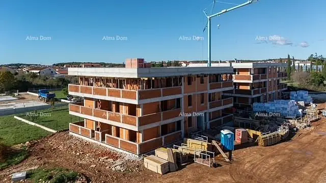 Kuchyně; kuchyňské spotřebiče, dřevěná podlaha, přirozené světlo, moderní styl