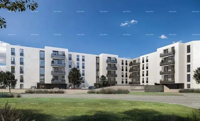 Cuisine; électroménager, parquet, lumière naturelle, style moderne