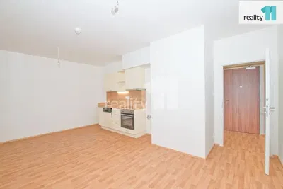 Salon; parquet, lumière naturelle, style moderne