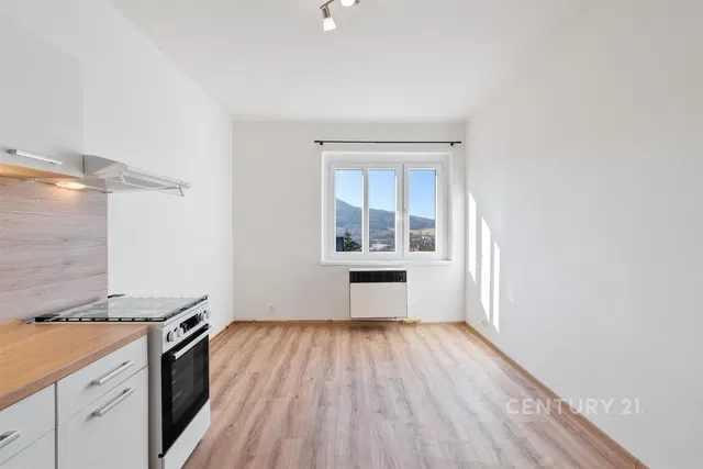Kitchen; kitchen appliances, wood floor, natural light, modern style