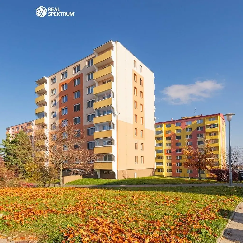 Kuchyně; kuchyňské spotřebiče, dřevěná podlaha, přirozené světlo, moderní styl