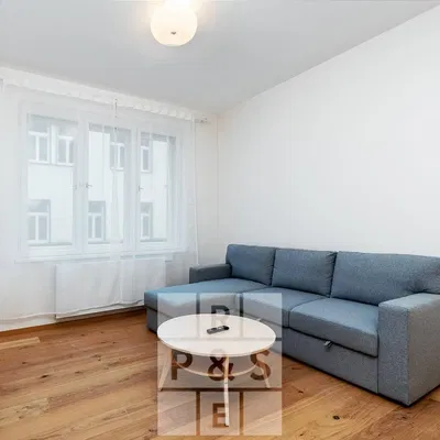 Kitchen; kitchen appliances, wood floor, natural light, modern style