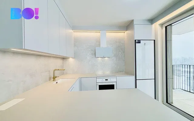 Kitchen; kitchen appliances, wood floor, natural light, modern style