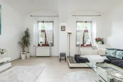 Kuchyně; kuchyňské spotřebiče, dřevěná podlaha, přirozené světlo, moderní styl