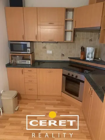 Кухня; кухненски уреди, дървен под, естествена светлина, модерен стил