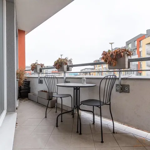 Cuisine; électroménager, parquet, lumière naturelle, style moderne