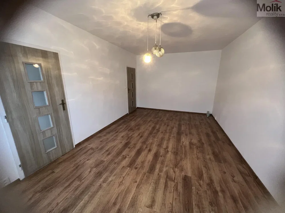 Kitchen; kitchen appliances, wood floor, natural light, modern style