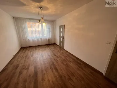 Хол; дървен под, естествена светлина, модерен стил