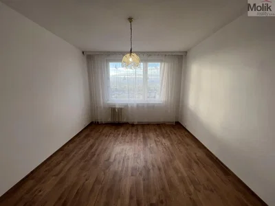 Kitchen; kitchen appliances, wood floor, natural light, modern style