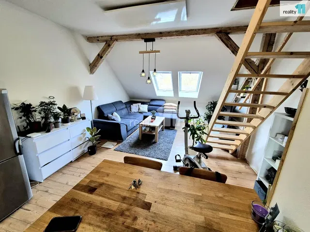 Kitchen; kitchen appliances, wood floor, natural light, modern style