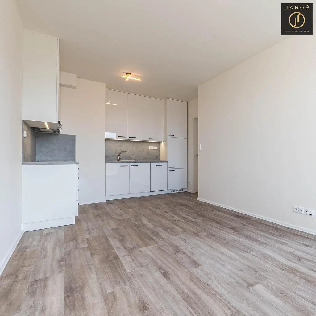 Kitchen; kitchen appliances, wood floor, natural light, modern style