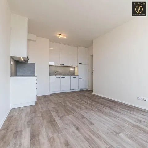 Kitchen; kitchen appliances, wood floor, natural light, modern style